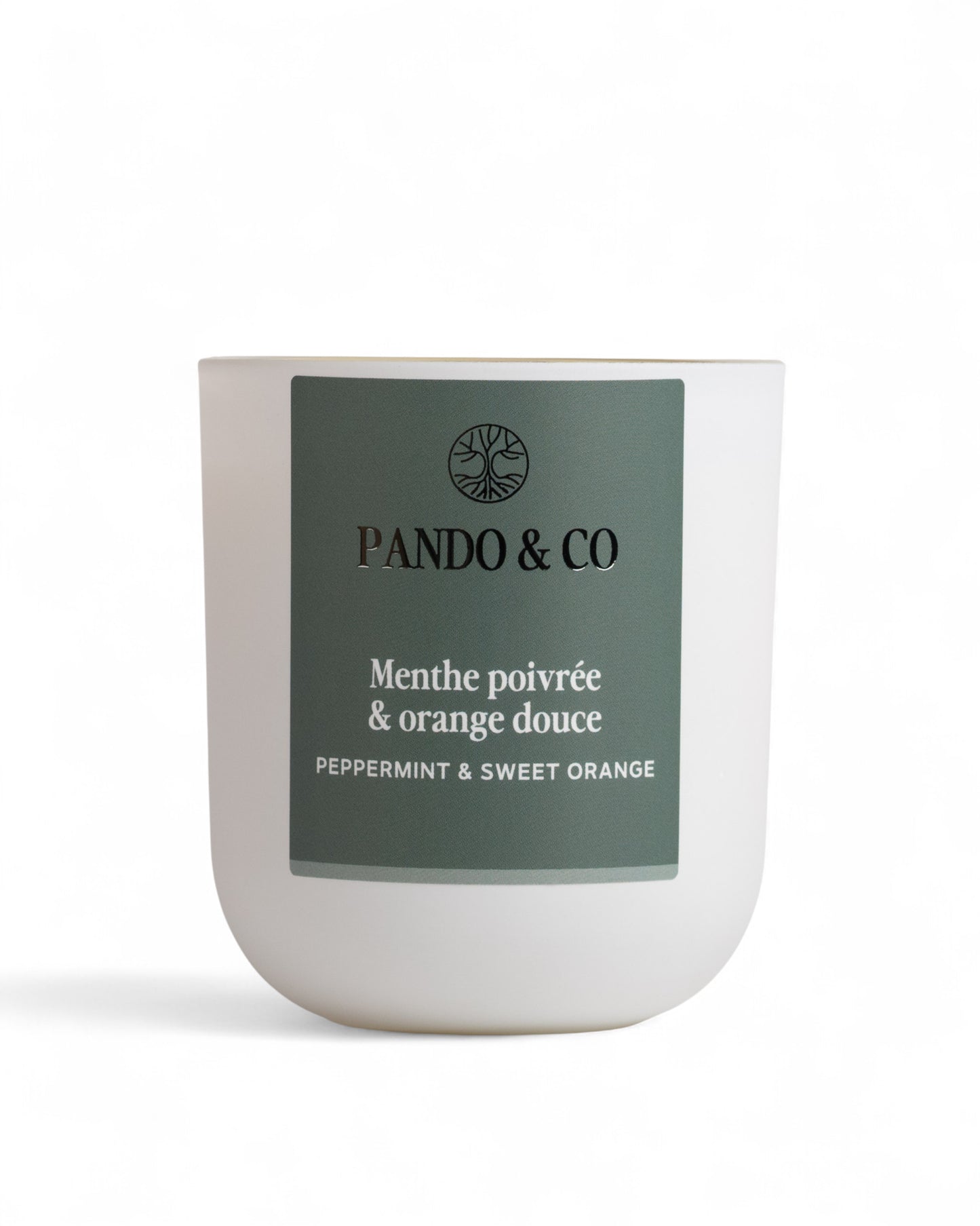 BOUGIE - MENTHE POIVRÉE & ORANGE DOUCE | Pando & Co