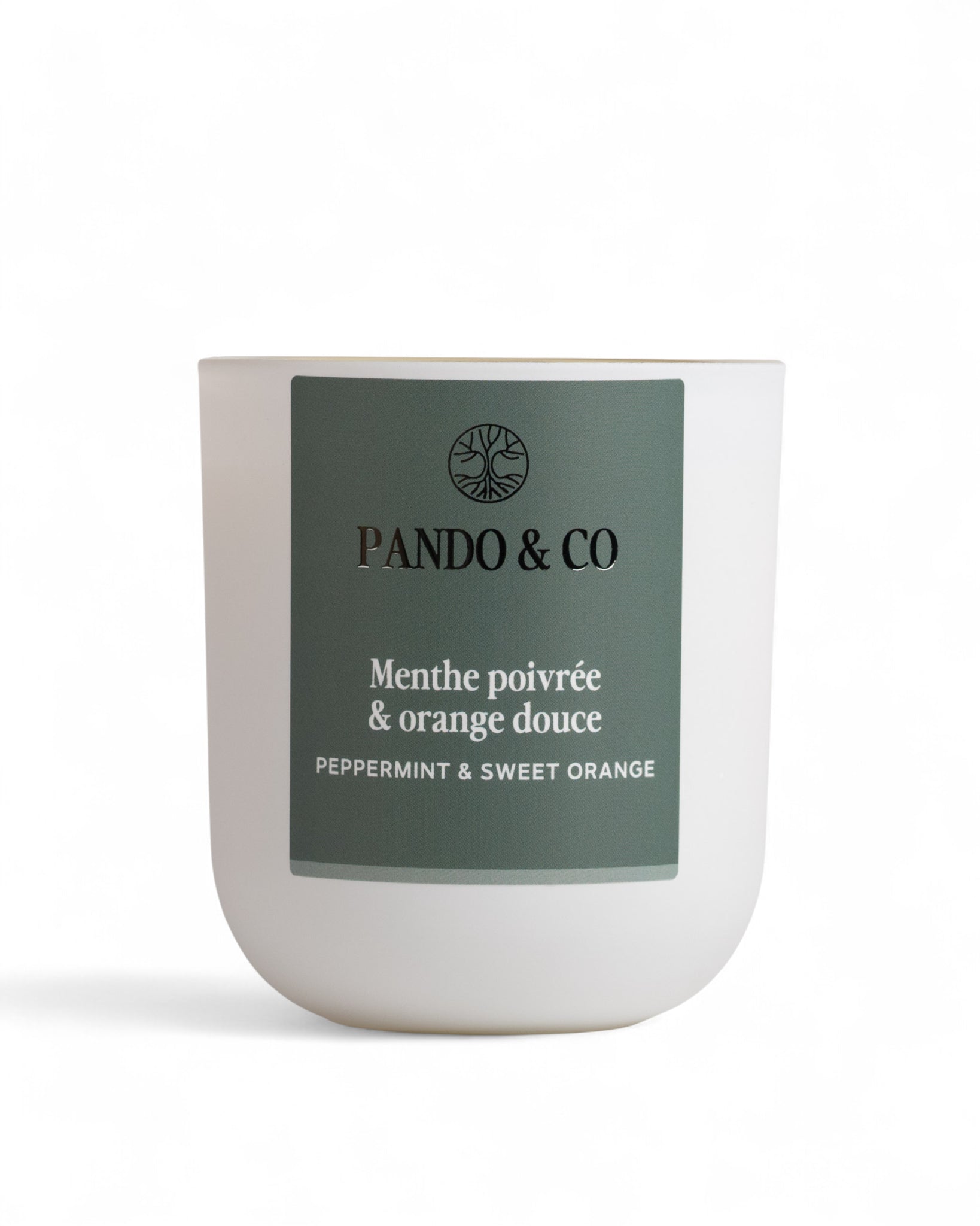 BOUGIE - MENTHE POIVRÉE & ORANGE DOUCE | Pando & Co