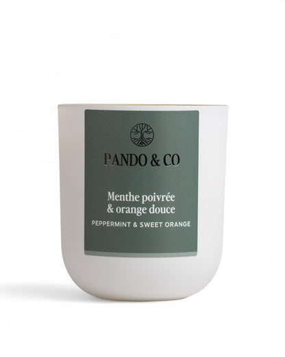 BOUGIE - MENTHE POIVRÉE & ORANGE DOUCE | Pando & Co