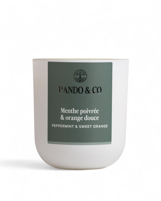 BOUGIE - MENTHE POIVRÉE & ORANGE DOUCE | Pando & Co