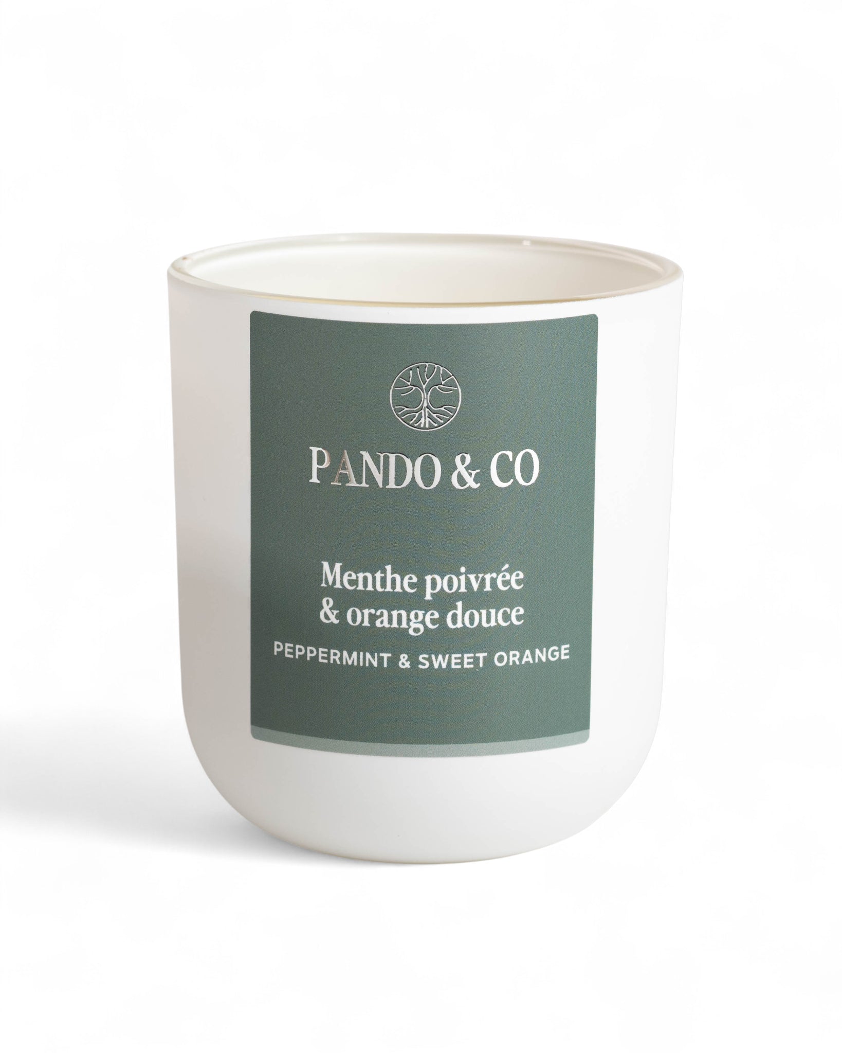 BOUGIE - MENTHE POIVRÉE & ORANGE DOUCE | Pando & Co