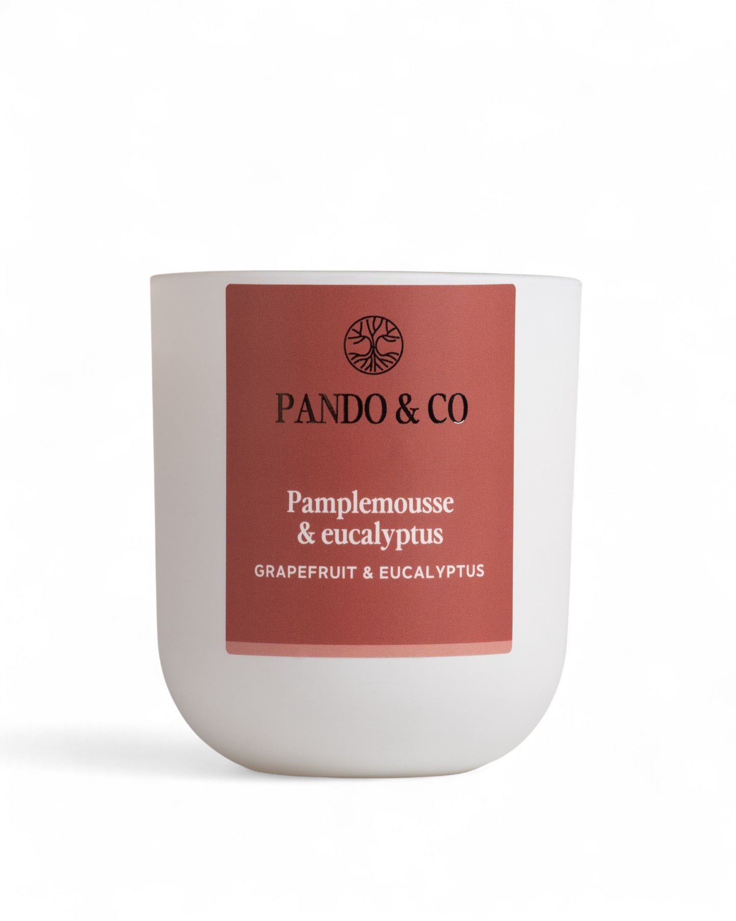 BOUGIE | PAMPLEMOUSE & EUCALYPTUS Pando & co