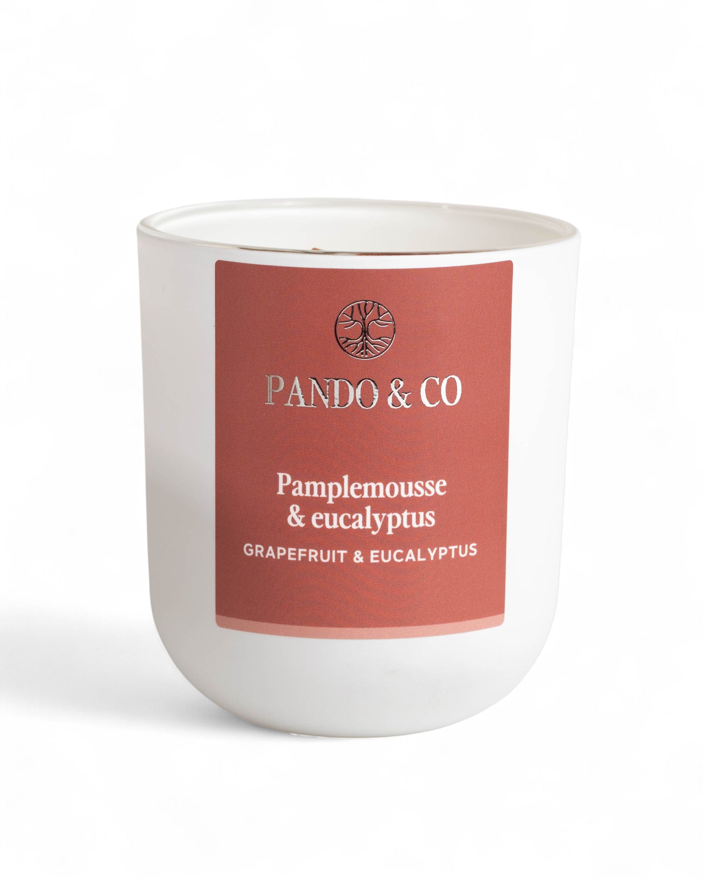 BOUGIE | PAMPLEMOUSE & EUCALYPTUS Pando & co