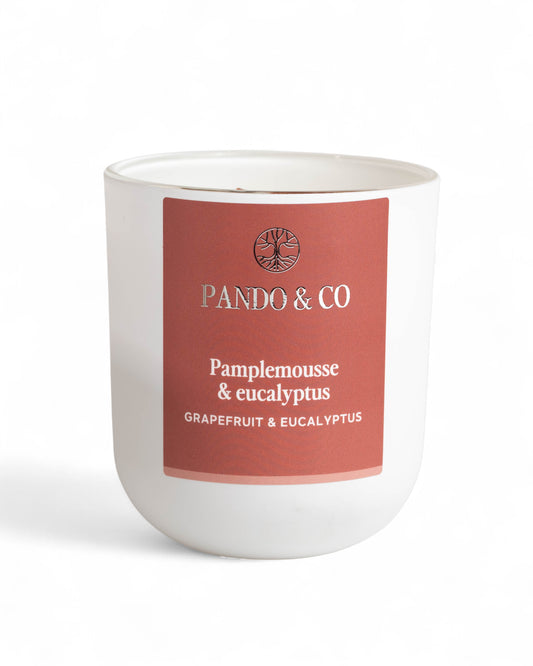BOUGIE | PAMPLEMOUSE & EUCALYPTUS Pando & co