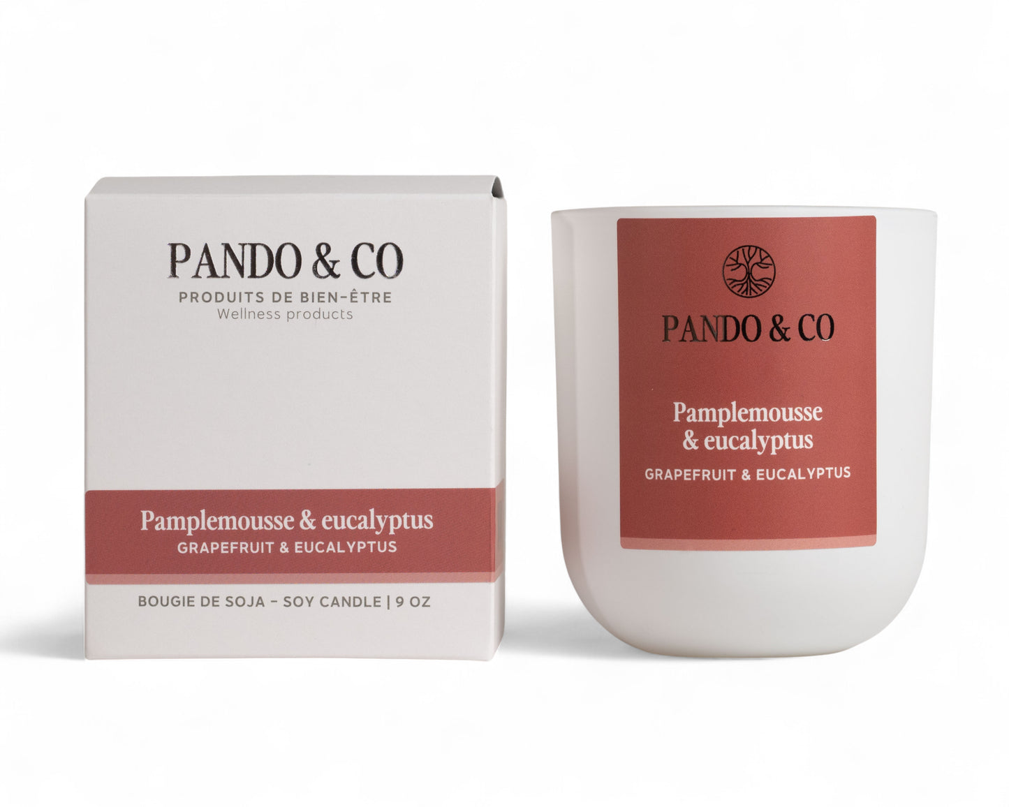BOUGIE | PAMPLEMOUSE & EUCALYPTUS Pando & co