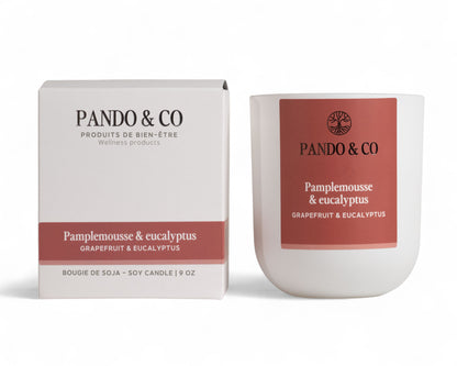 BOUGIE | PAMPLEMOUSE & EUCALYPTUS Pando & co