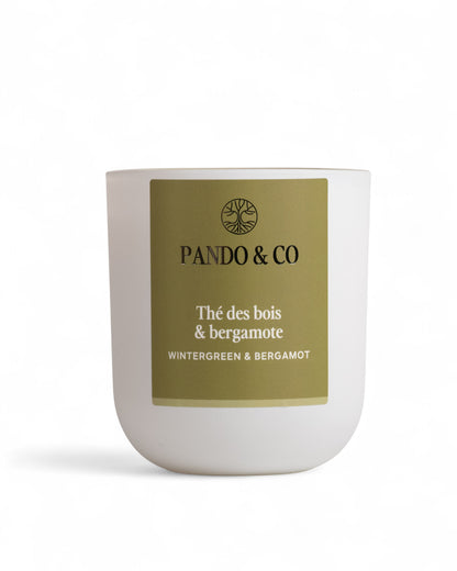 BOUGIE | THÉ DES BOIS & BERGAMOTE Pando & co