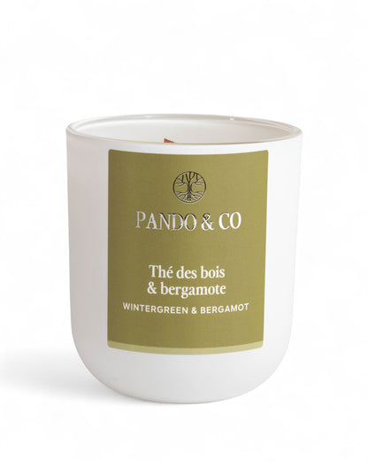BOUGIE | THÉ DES BOIS & BERGAMOTE Pando & co