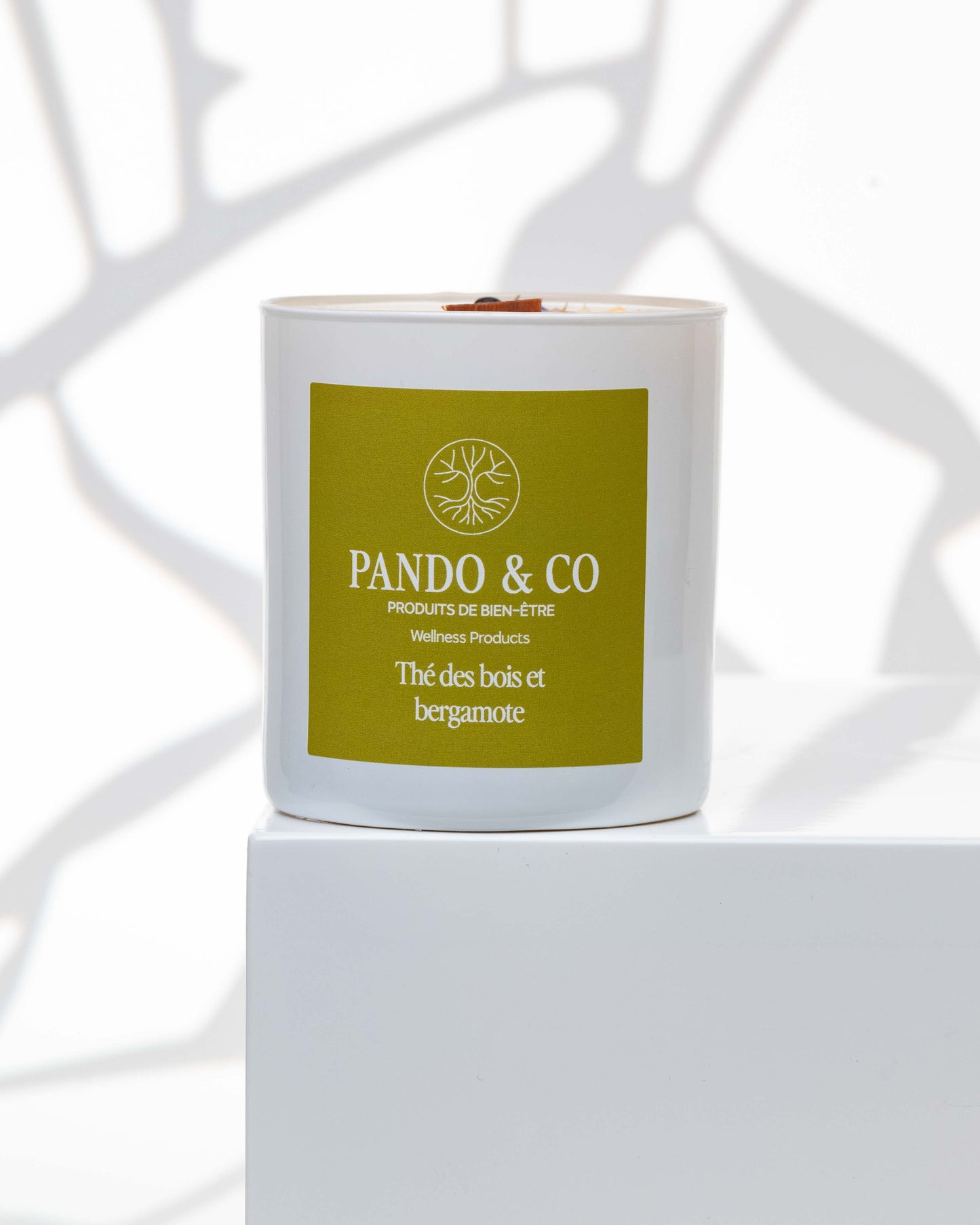 BOUGIE IMPARFAITE - Pando & co