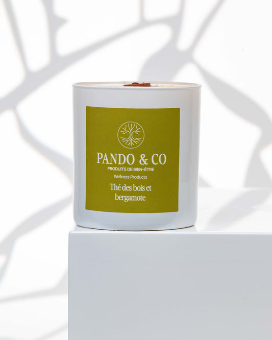 BOUGIE IMPARFAITE - Pando & co