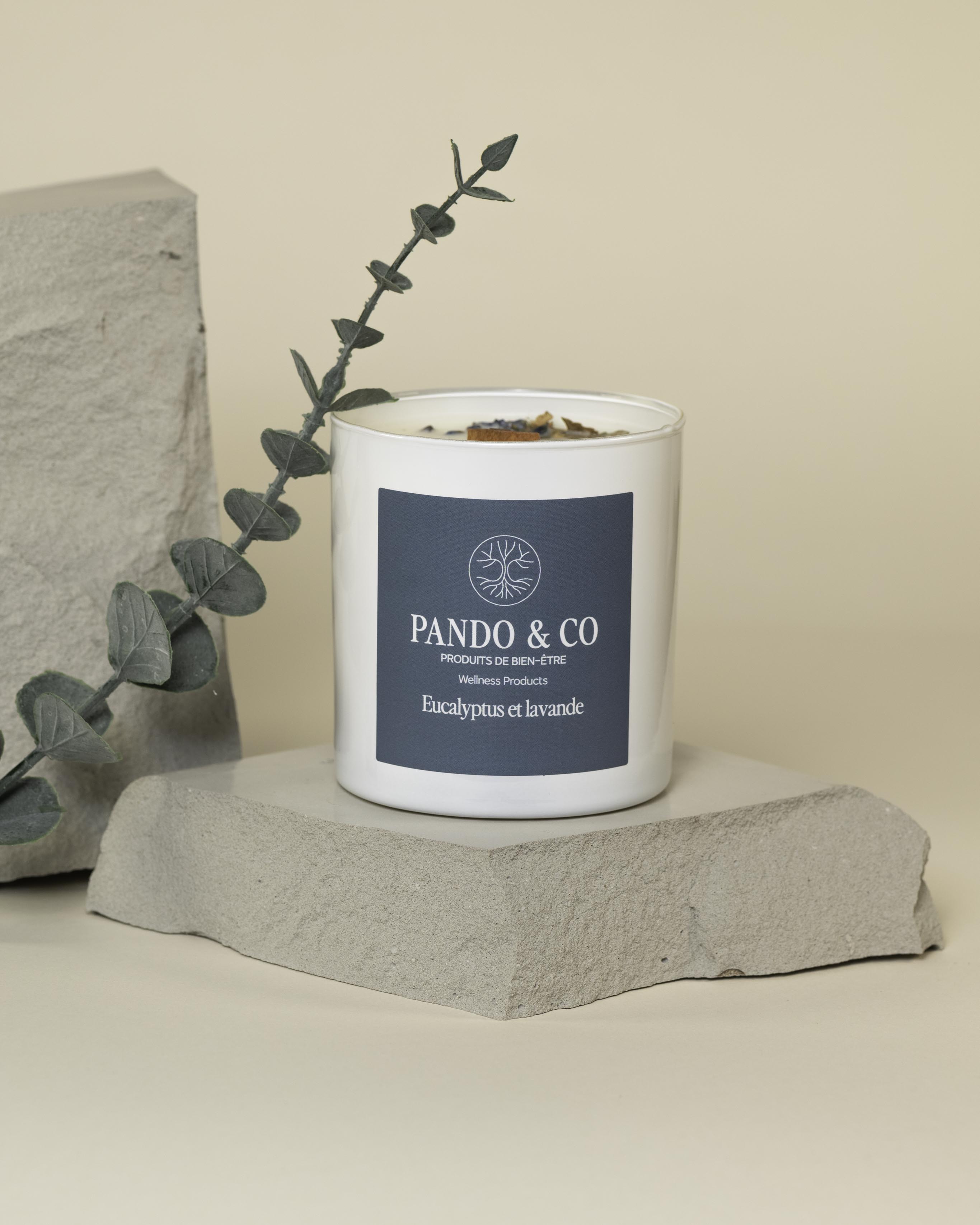 Bougie de soya eucalyptus et lavande pour relaxation