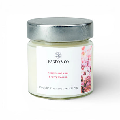 Bougie ergo - Cerisier en fleurs
