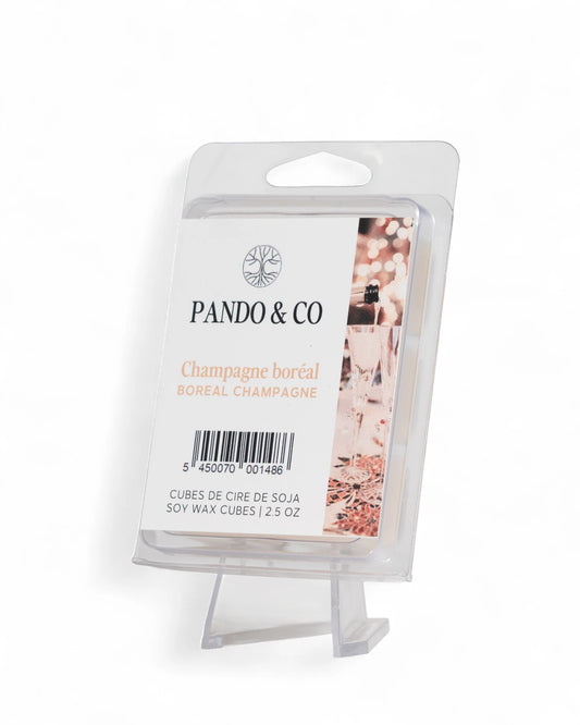 CUBES DE CIRE - CHAMPAGNE BORÉAL | PANDO & CO