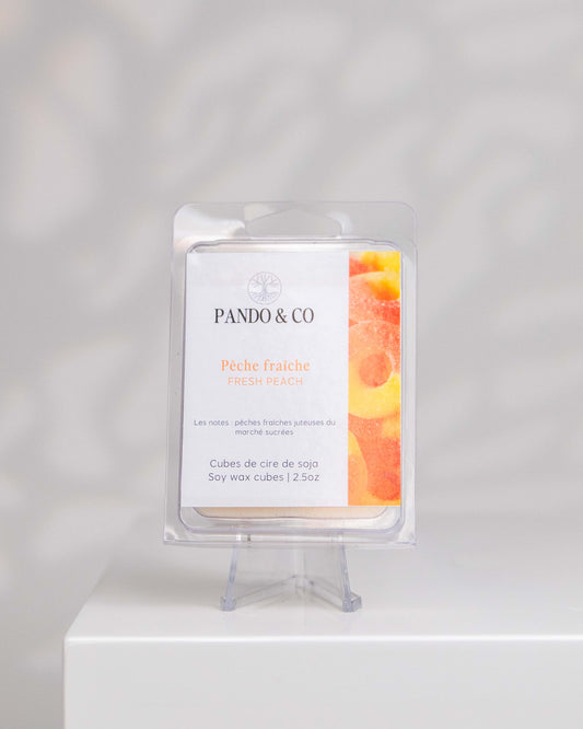 cubes-de-cire-peche-fraiche-pando-et-co