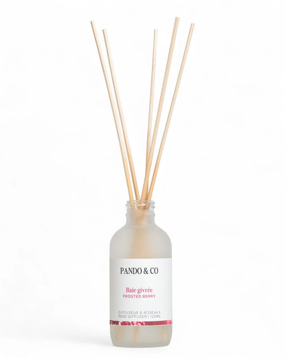 DIFFUSEUR À ROSEAUX - BAIE GIVRÉE | PANDO & CO