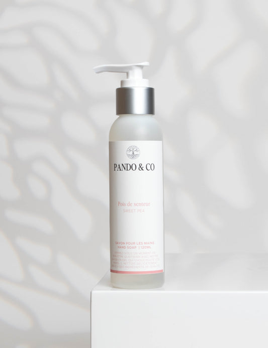 DUO SAVON ET CREME A MAINS | POIS DE SENTEUR - PANDO & CO