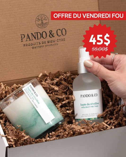 BOÎTE CADEAU - DUO BOUGIE ARTISTE & BRUINE