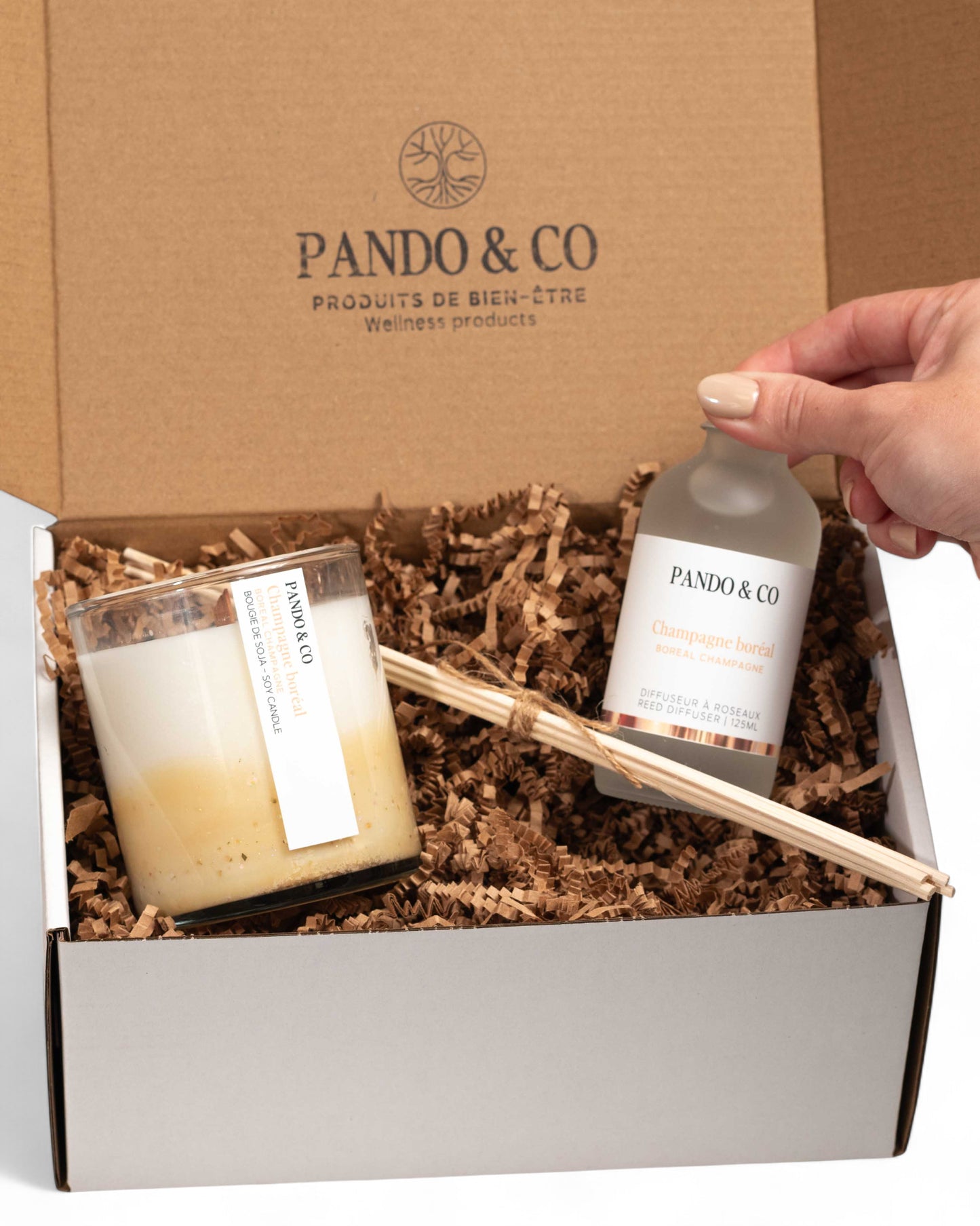 BOÎTE CADEAU - DUO CHAMPAGNE BORÉAL | PANDO & CO