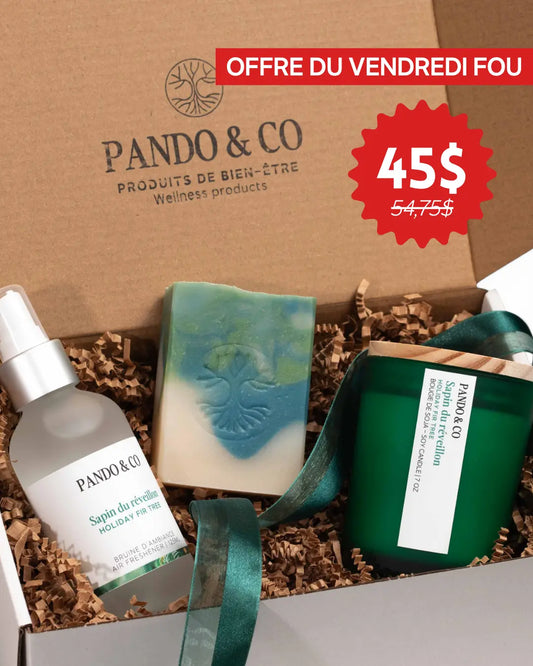 BOÎTE CADEAU - SAPIN DU RÉVEILLON | PANDO & CO