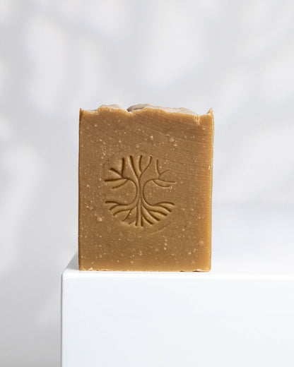 SAVON DÉTACHANT | TERRE DE SOMMIÈRES