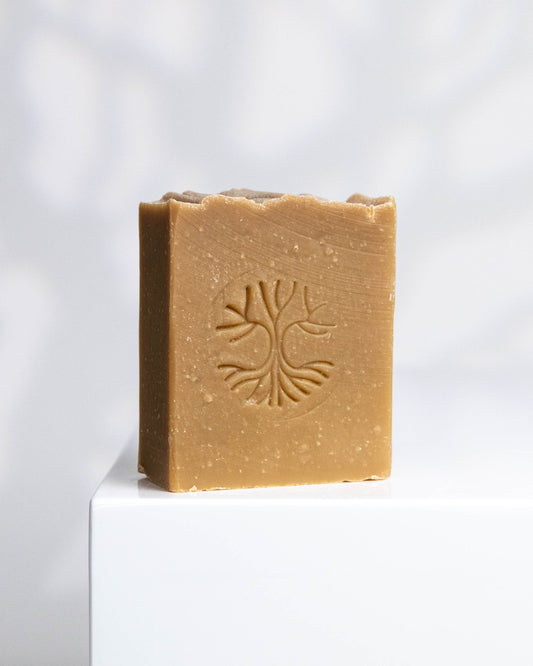SAVON DÉTACHANT | TERRE DE SOMMIÈRES