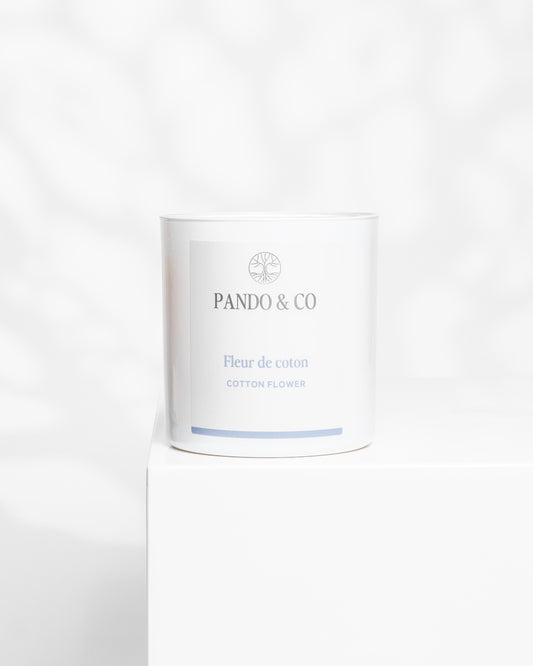 EXCLUSIVE CANDLE | COTTON FLOWER