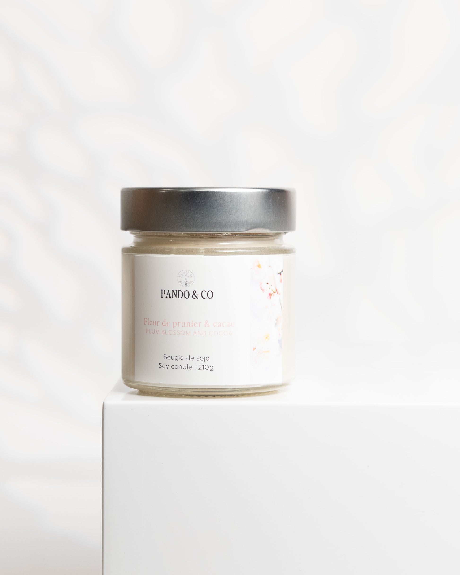 pandoetco_boutique_photo_bougie_fevrier_2025-7